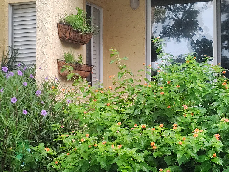 209 W Miracle Strip Pkwy #H103 — Photo 19