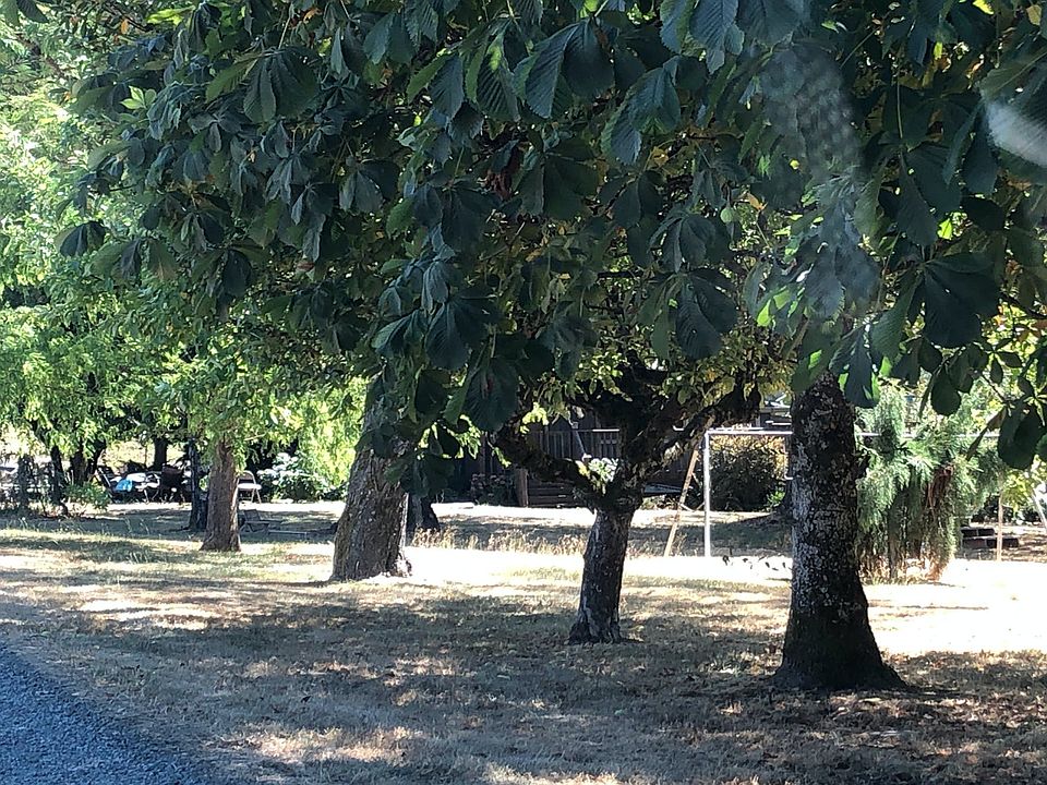 10242 NW Helvetia Rd, Hillsboro, OR 97124 Zillow