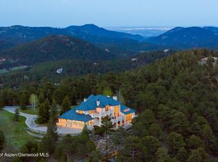 30726 Snowbird Ln, Evergreen, CO 80439