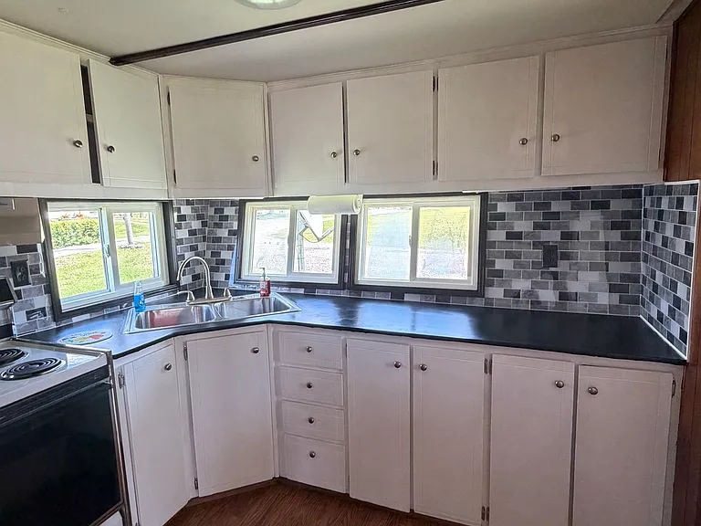 517 Ginseng Ln — Photo 1