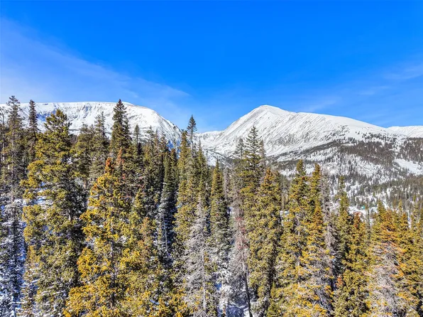 543 Carroll Ln, Blue River, CO 80424