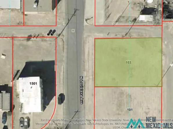 103 N Louisiana Ave, Roswell, NM 88203