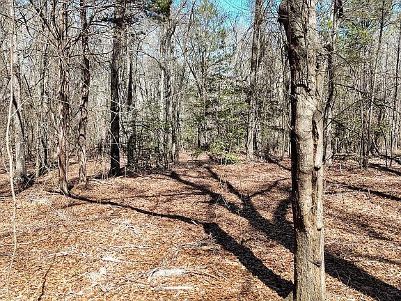 3rd image of 8 Guest Cir