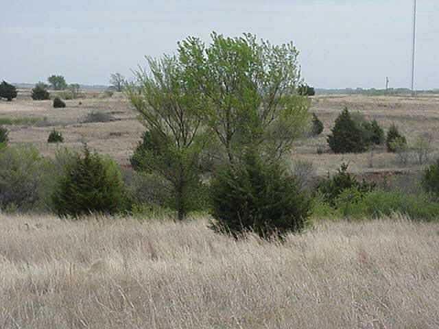 1st image of Highway 39