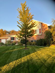 1542 Alayssa Dr, Idaho Falls, ID, 83402