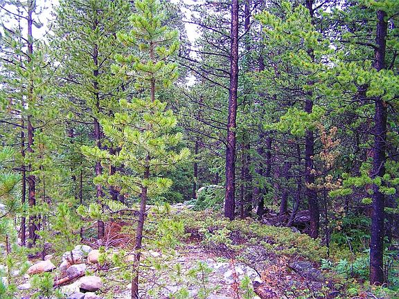 5th image of TBD CO RD 14 A