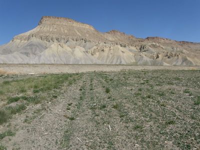 707 35th Rd, Clifton, CO, 81520