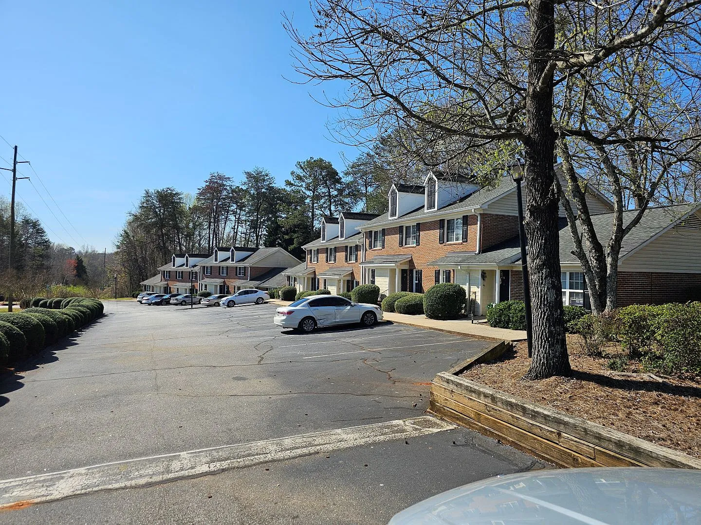 Raintree — Photo 3