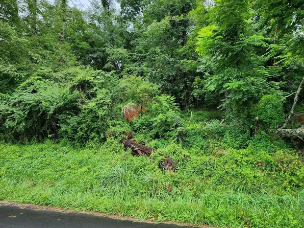 0 Stout Rd, Mountain City, TN 37683