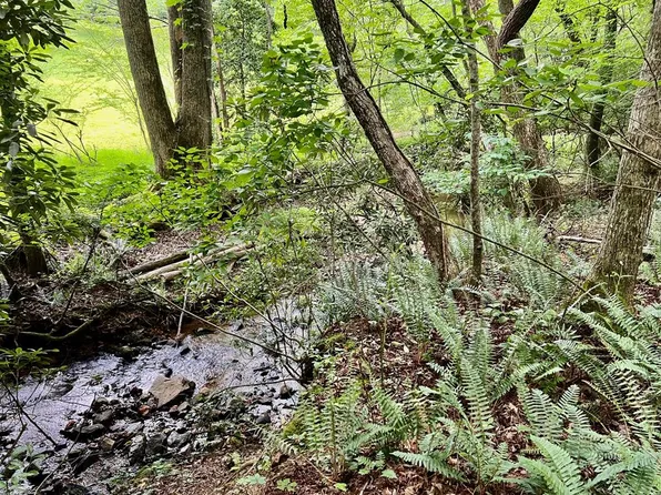 4 Lower Fox Trl, Blairsville, GA 30512