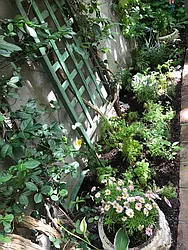 Rented by AAU Real Estate Advisors