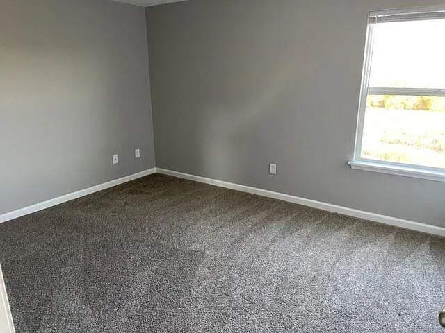 8133 Driftwood Loop — Photo 15