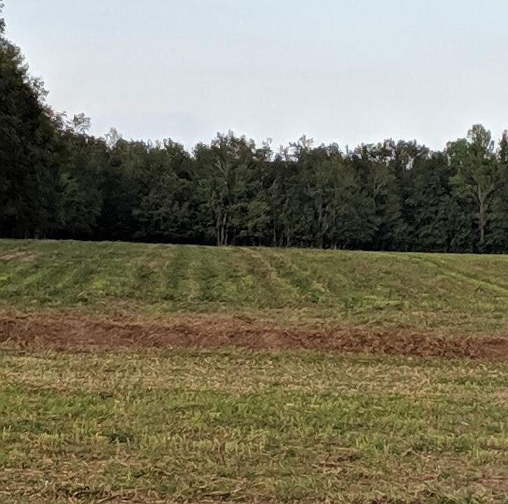 2nd image of 1131-5 White Oak River Road