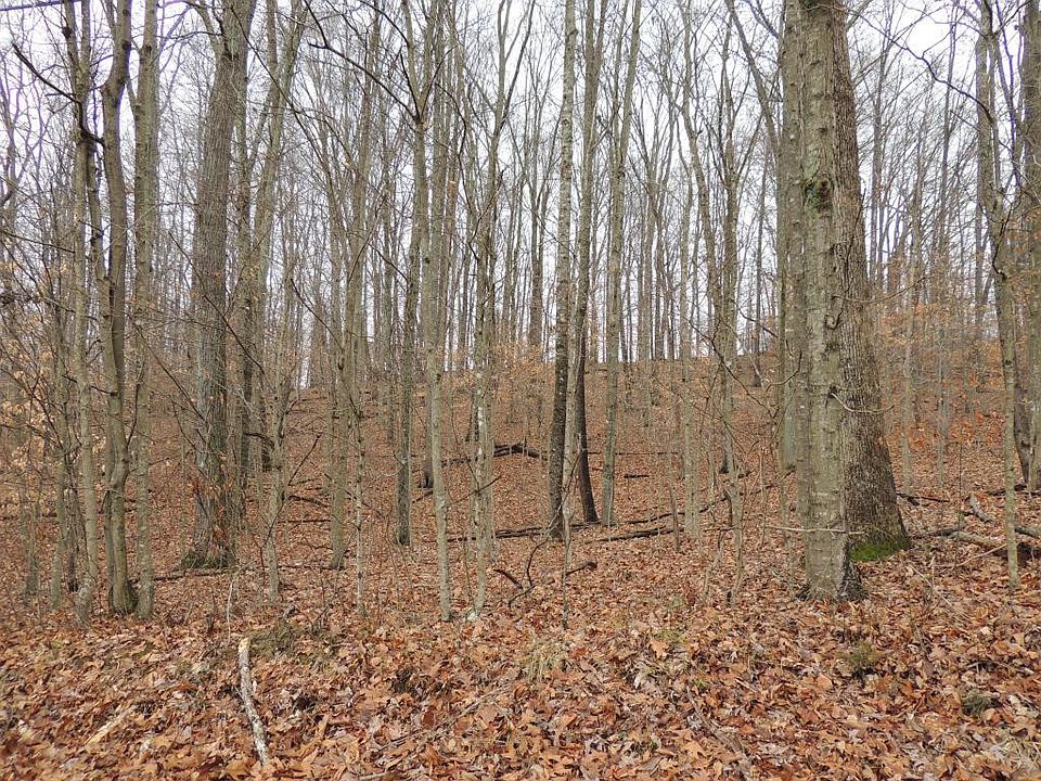 2nd image of 0 Arnold Rd