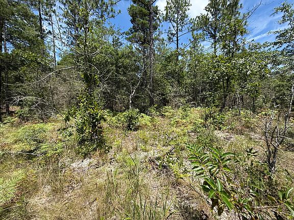 3rd image of LOT 38 Clearwater Dr