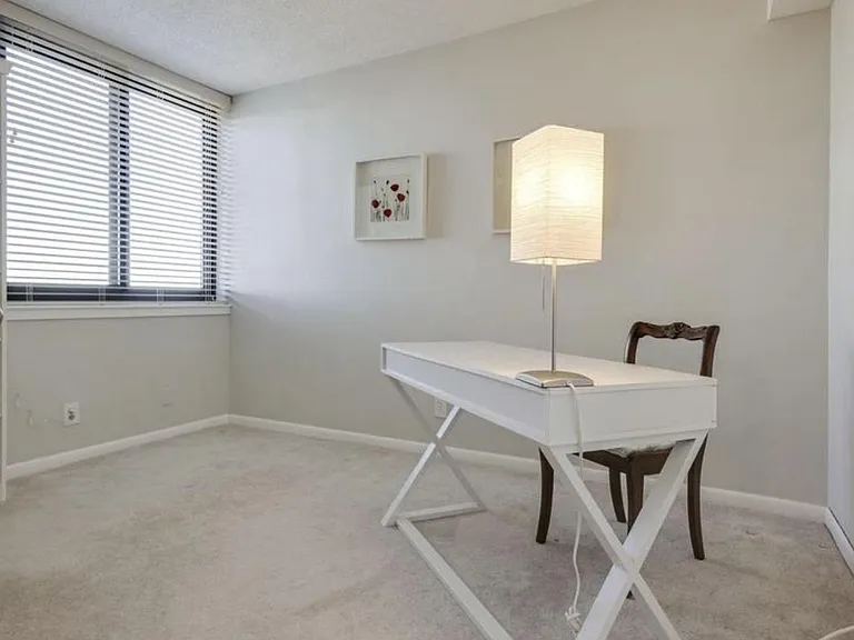 5505 Seminary Rd #914N — Photo 23