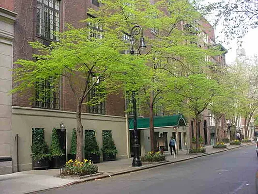 Sold by Corcoran | media 8