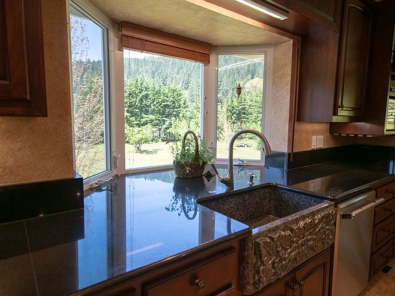 kitchen sink /bay window