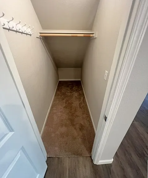 Cavernous Guest Closet