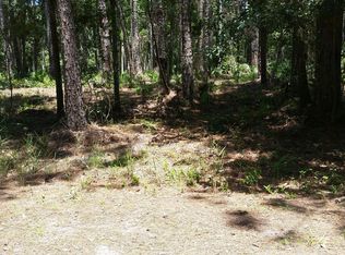 509 Gardenia Ave, Georgetown, FL 32139