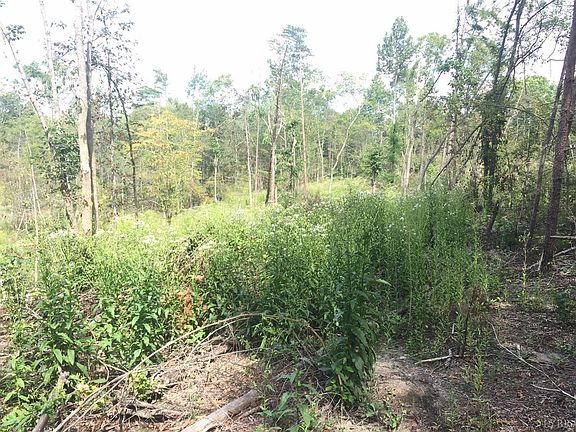 2nd image of 0 Amelia Springs Rd Lot 21F