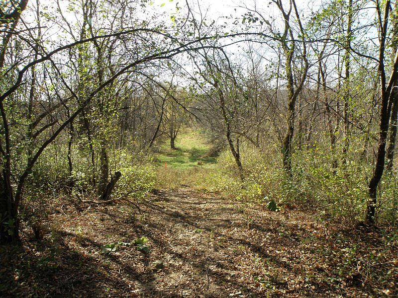 2nd image of 1285 Helene Dr