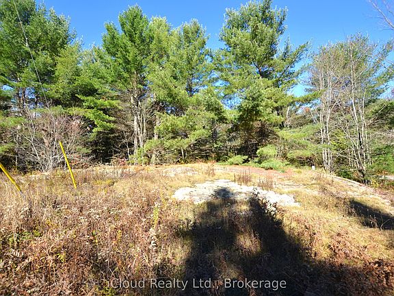 4th image of 2 Parker Bay Rd