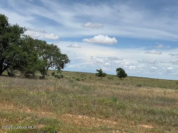 0 S County Road 525, Brownfield, TX 79316