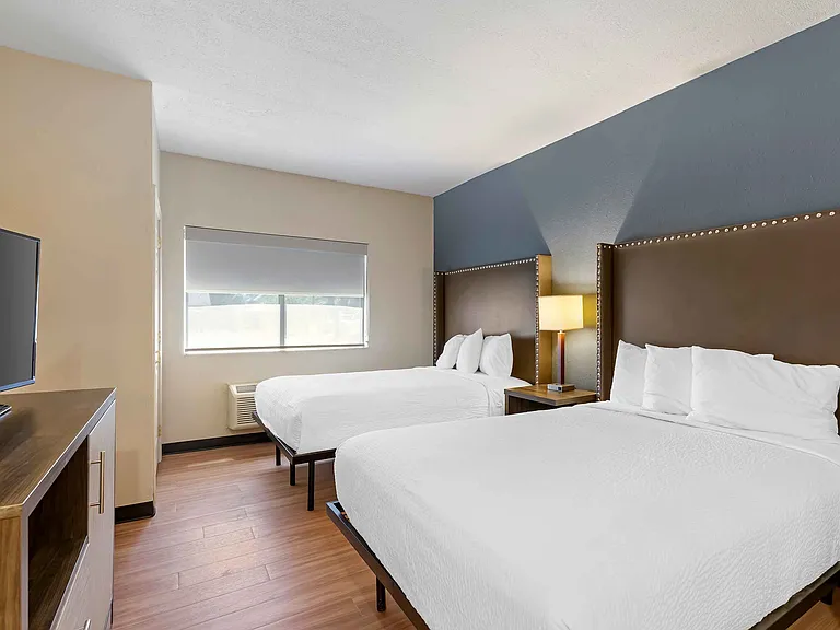 Studio Suite - 2 Full Beds