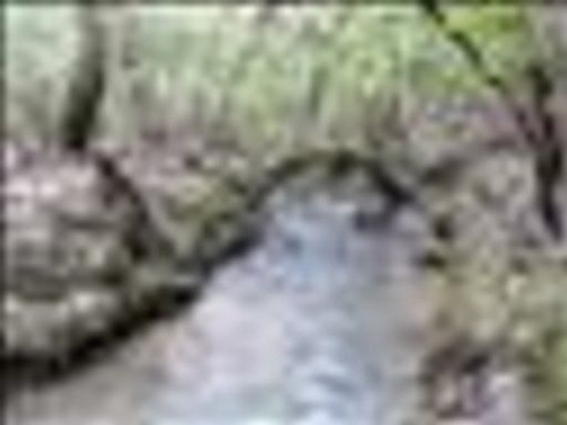2nd image of Plantation Dr