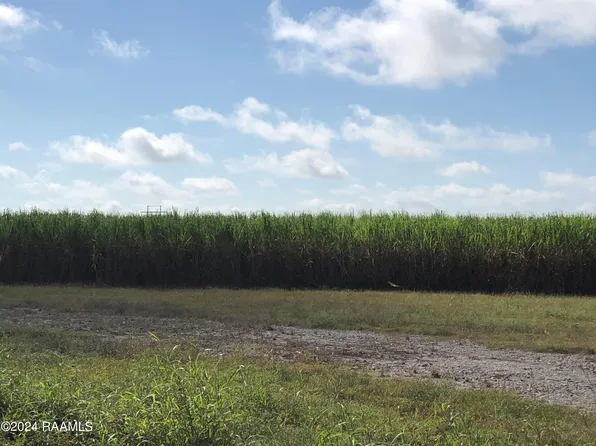 Olias Rd, Erath, LA 70533