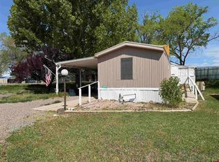 20267 Horizon West Rd, Eckert, CO 81418