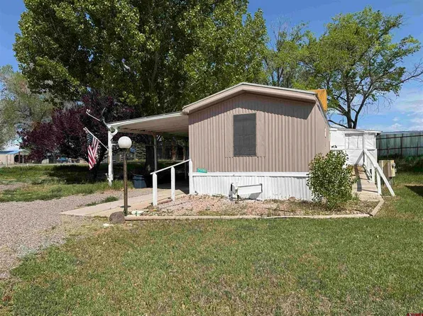 20267 Horizon West Road, Eckert, CO 81418