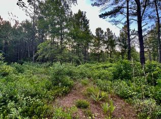 0 Cane Branch Rd, Walterboro, SC 29488