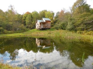 189 Leon Davis Rd, South Otselic, NY 13155