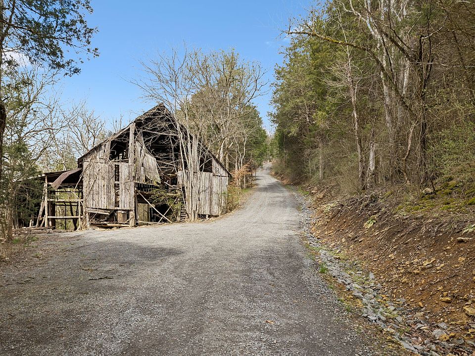 13th image of this home