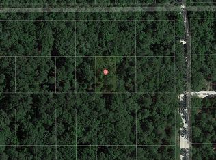 LOT 22 14th St, Live Oak, FL 32060