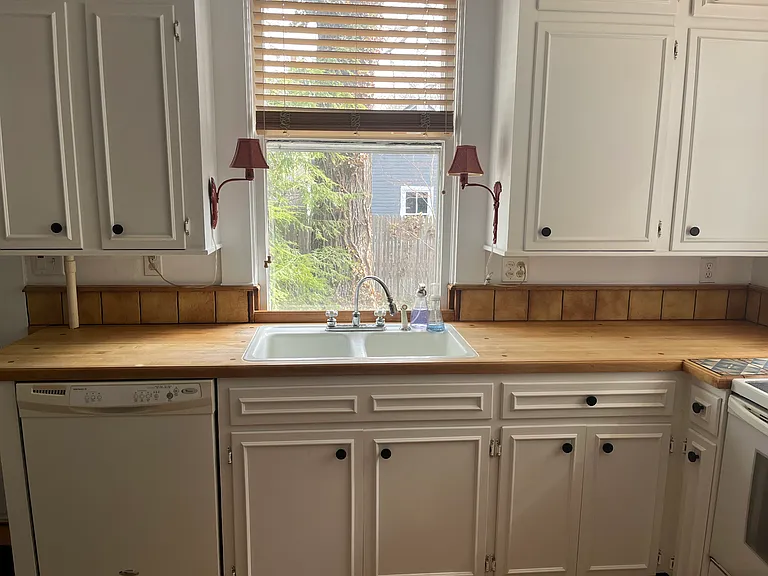 344 College Ave SE — Photo 23