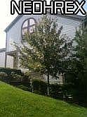 2nd image of 6535 Saint Andrews Dr