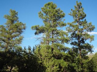 1760 S Canyon Ridge Trl, Show Low, AZ 85901