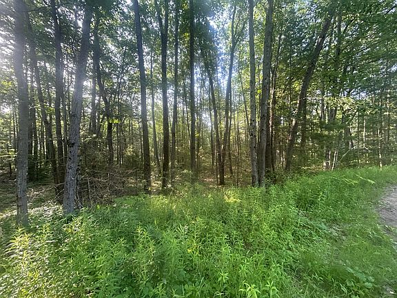 4th image of V/l South Ellen Dr Lot 15