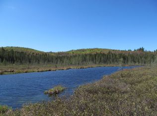 Parkerville Rd, Indian Lake, NY 12842