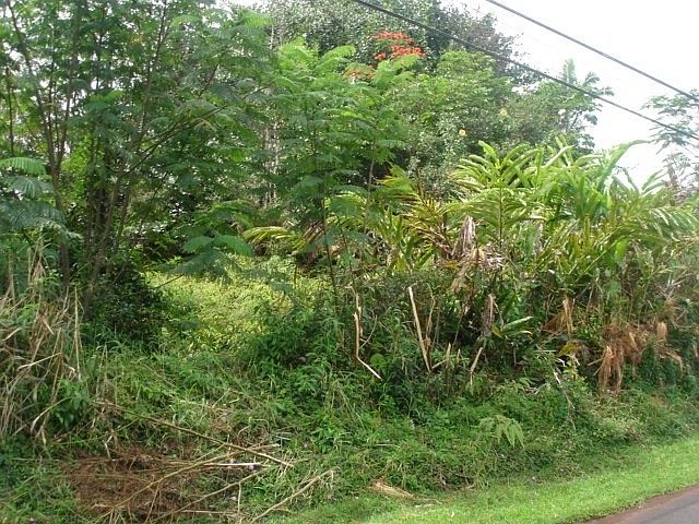 2nd image of 25th Avenue Okika Lot 49