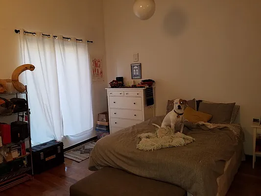 Rented by Garden Management | media 25