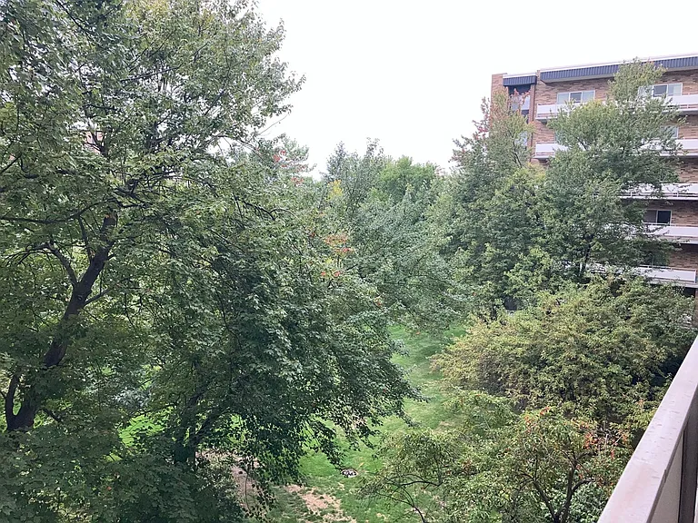 Patio view