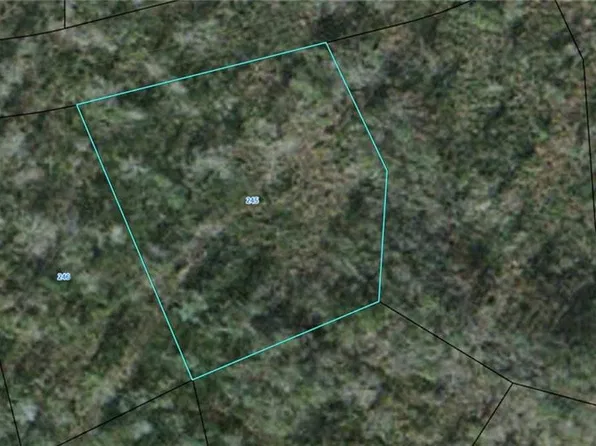 245 Black Hawk Dr, Waynesville, GA 31566