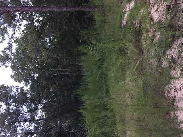 2nd image of 1618 County Road 87