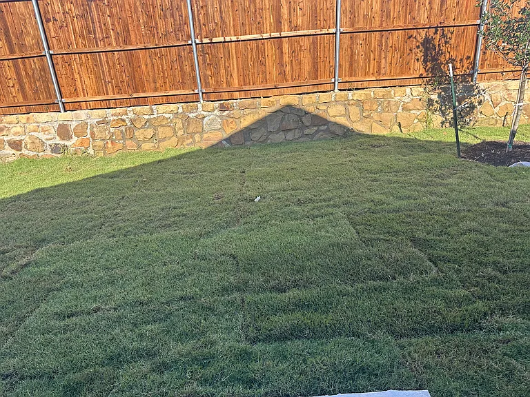 3009 Tokara St — Photo 12