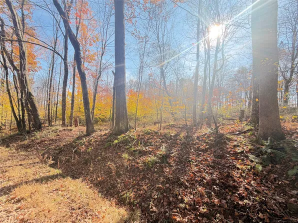 Deeter Hill Rd, Guys Mills, PA 16327