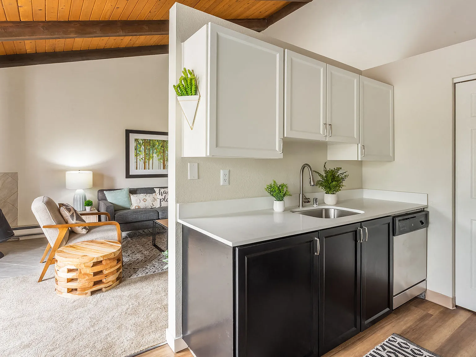 The Timbers — Photo 4